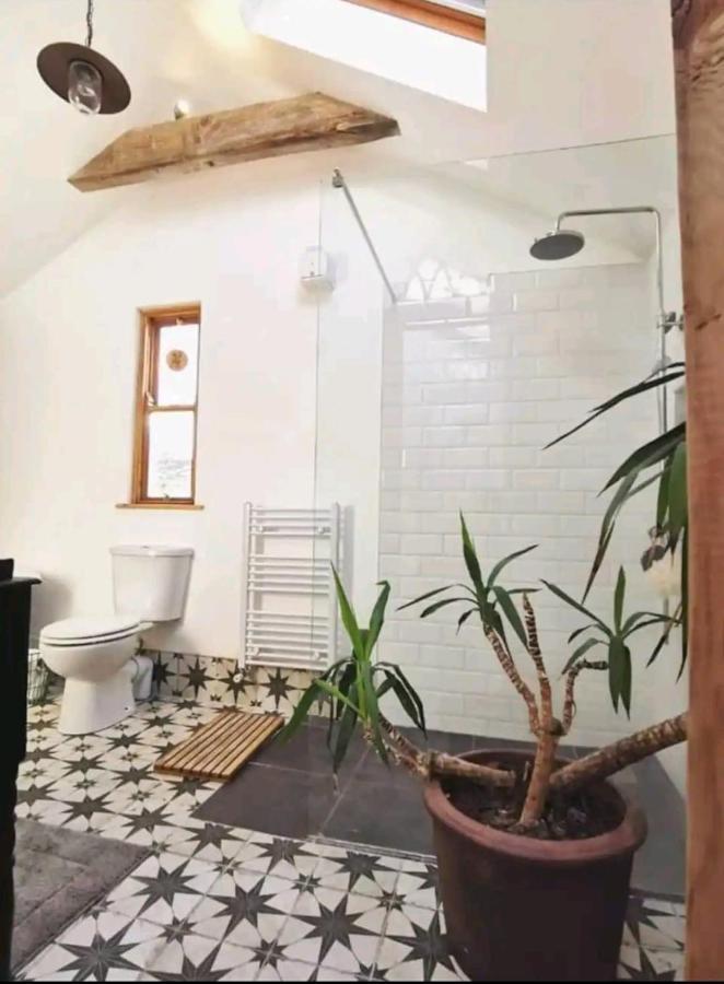 The Carton Store Loft Apt Lejlighed Cork Eksteriør billede